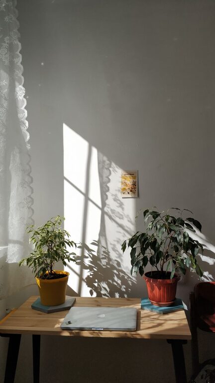 resized_123909